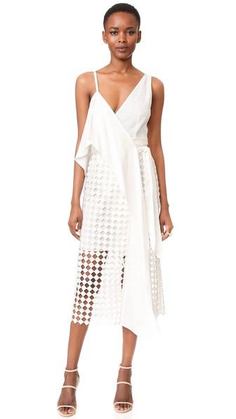 Diane Von Furstenberg Asymmetrical Twig Lace Wrap Dress