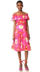 Isolda Santo Domingo Dress
