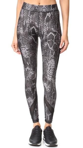 Hpe Snake Print Leggings
