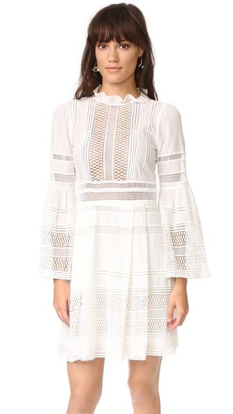 Sea Baja Lace Long Sleeve Dress