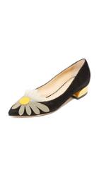 Charlotte Olympia Aster Daisy Court Shoes