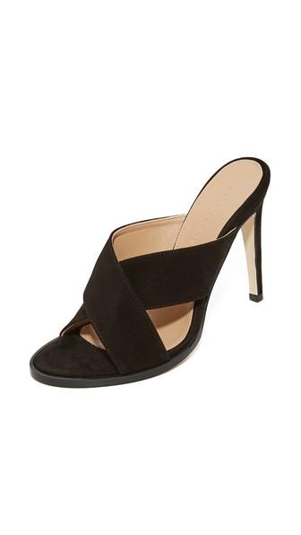 Dear Frances Eden Mules
