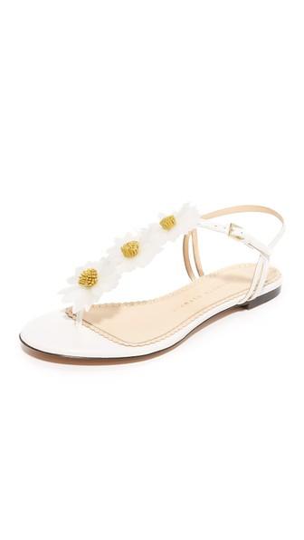 Charlotte Olympia Posey Flat Daisy Sandals