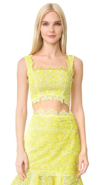 Monique Lhuillier Lace Crop Top