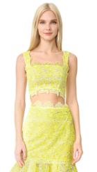 Monique Lhuillier Lace Crop Top