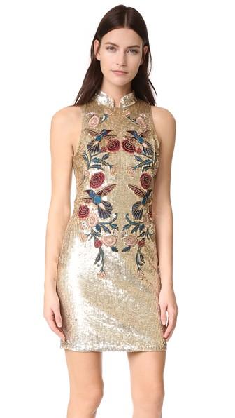 Parker Gloria Dress