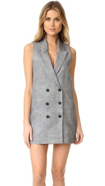 Marissa Webb Alan Dress