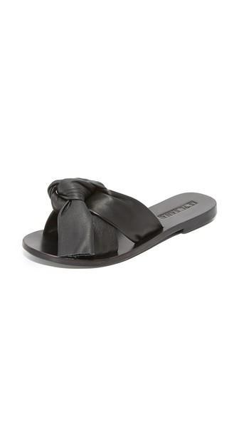 Sol Sana Nina Slides