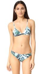 Mara Hoffman Triangle Bralette Bikini Top