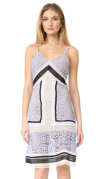 Endless Rose Contrast Lace Dress