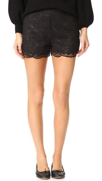 Cupcakes And Cashmere Estelle Scalloped Edge Lace Shorts
