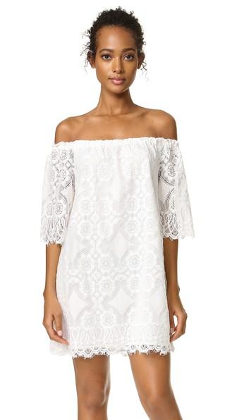 Bb Dakota Halden Off Shoulder Lace Dress