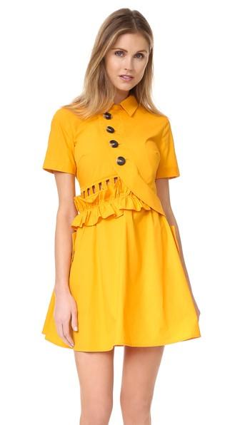 Self Portrait Button Shirtdress