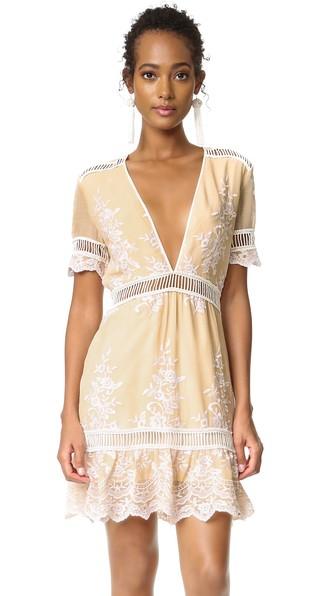 Saylor Alexa Mini Dress