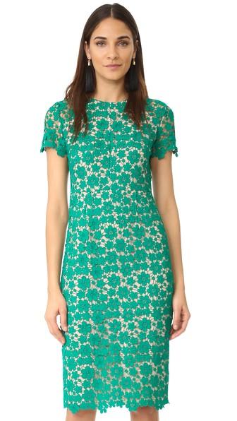 Shoshanna Beaux Dress
