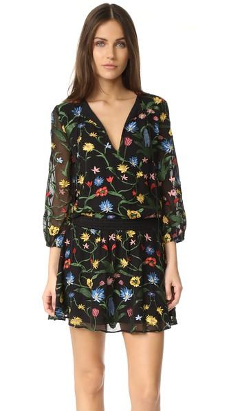 Alice Olivia Jolene Embroidered Smocked Waist Dress