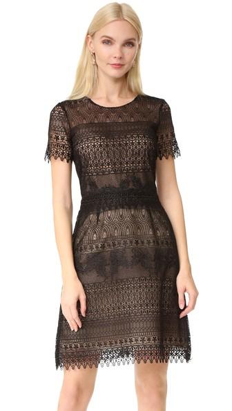 Marchesa Notte Lace Dress