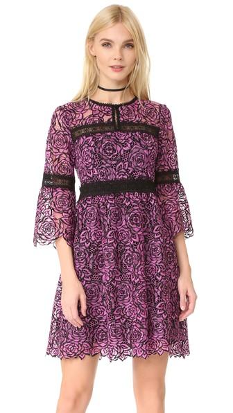 Nanette Lepore Chiaroscuro Dress