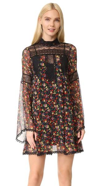 Anna Sui Pansy Print Crinkle Chiffon Dress