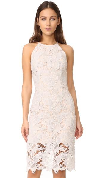 Keepsake Lonely Lover Lace Dress