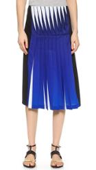 Dion Lee Lenticular Pleated Skirt