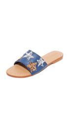 Mystique Star Slides