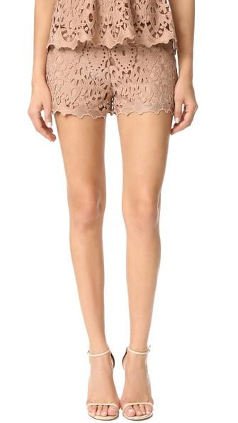 Ministry Of Style Lush Lace Shorts