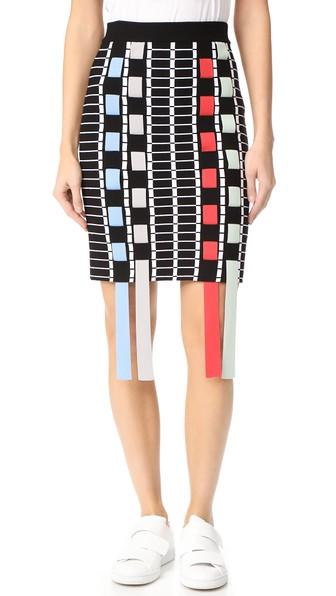 Phelan Fringe Skirt