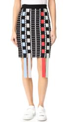 Phelan Fringe Skirt