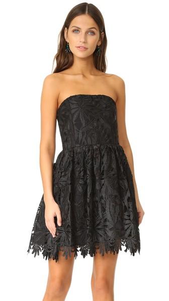 Alice Olivia Daisy Party Dress
