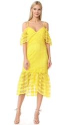 Three Floor Starry Eyed Lace Dress