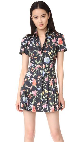Samantha Pleet Potion Dress