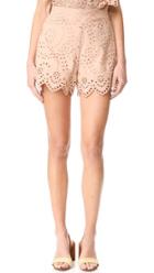 Nightcap X Carisa Rene Eyelet Ruffle Shorts