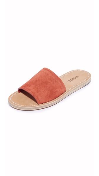Vince Torrell Slides