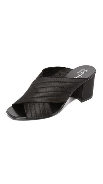 Pedro Garcia Xail Mules