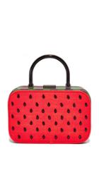 Alice Olivia Drew Watermelon Frame Box Bag