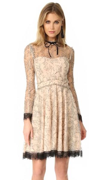 Nicholas French Lace Mini Swing Dress