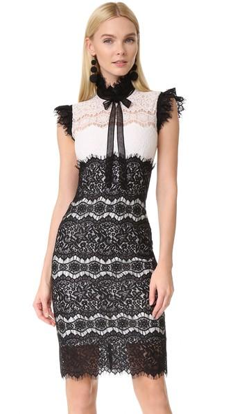 Costarellos Sleeveless Dress