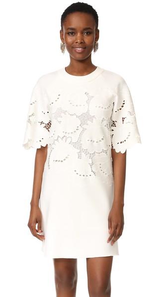 Victoria Victoria Beckham Lace Embroidered Shift Dress