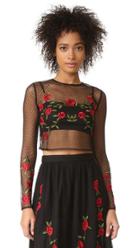 Lovers Friends Sebastian Crop Top