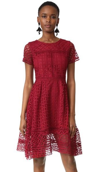Cupcakes And Cashmere Mori Lace Fit And Flare Dress