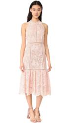 Rebecca Taylor Sleeveless Arella Midi Dress