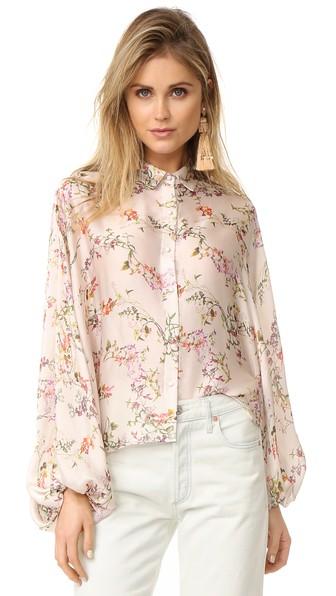 Alexis Nicolette Top