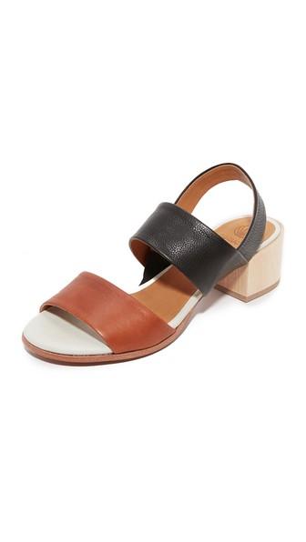 Coclico Shoes Tares City Sandals