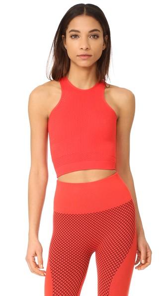 Phat Buddha Con Ed Crop Top