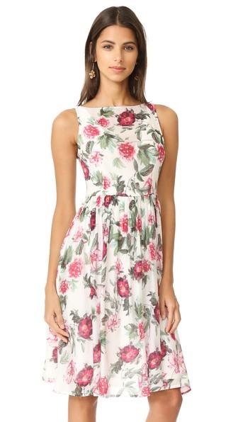 Bb Dakota R S V P By Bb Dakota Dehlia Dress