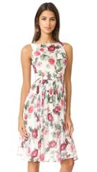 Bb Dakota R S V P By Bb Dakota Dehlia Dress