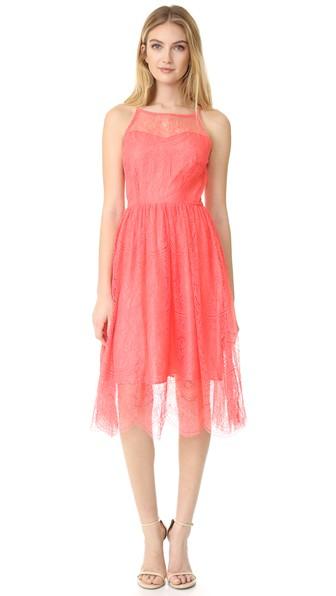 Cupcakes And Cashmere Strady Lace Midi Dress