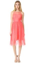 Cupcakes And Cashmere Strady Lace Midi Dress