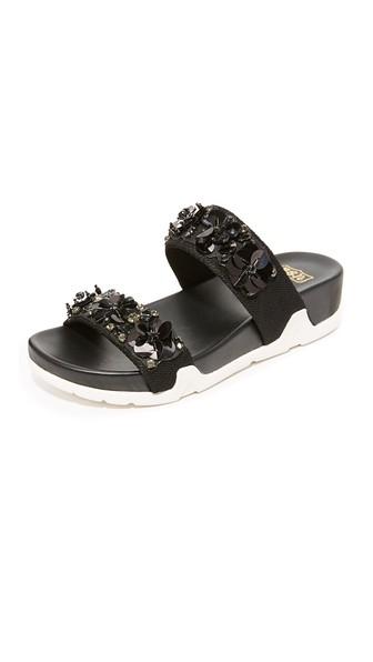 Ash Oman Flowers Slides
